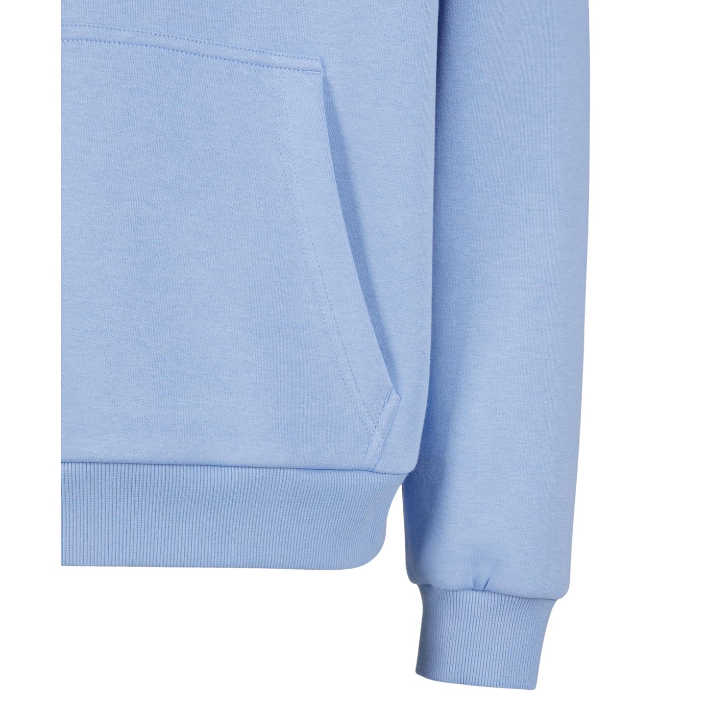 Vegan Vibes Only - Oversized Hoodie