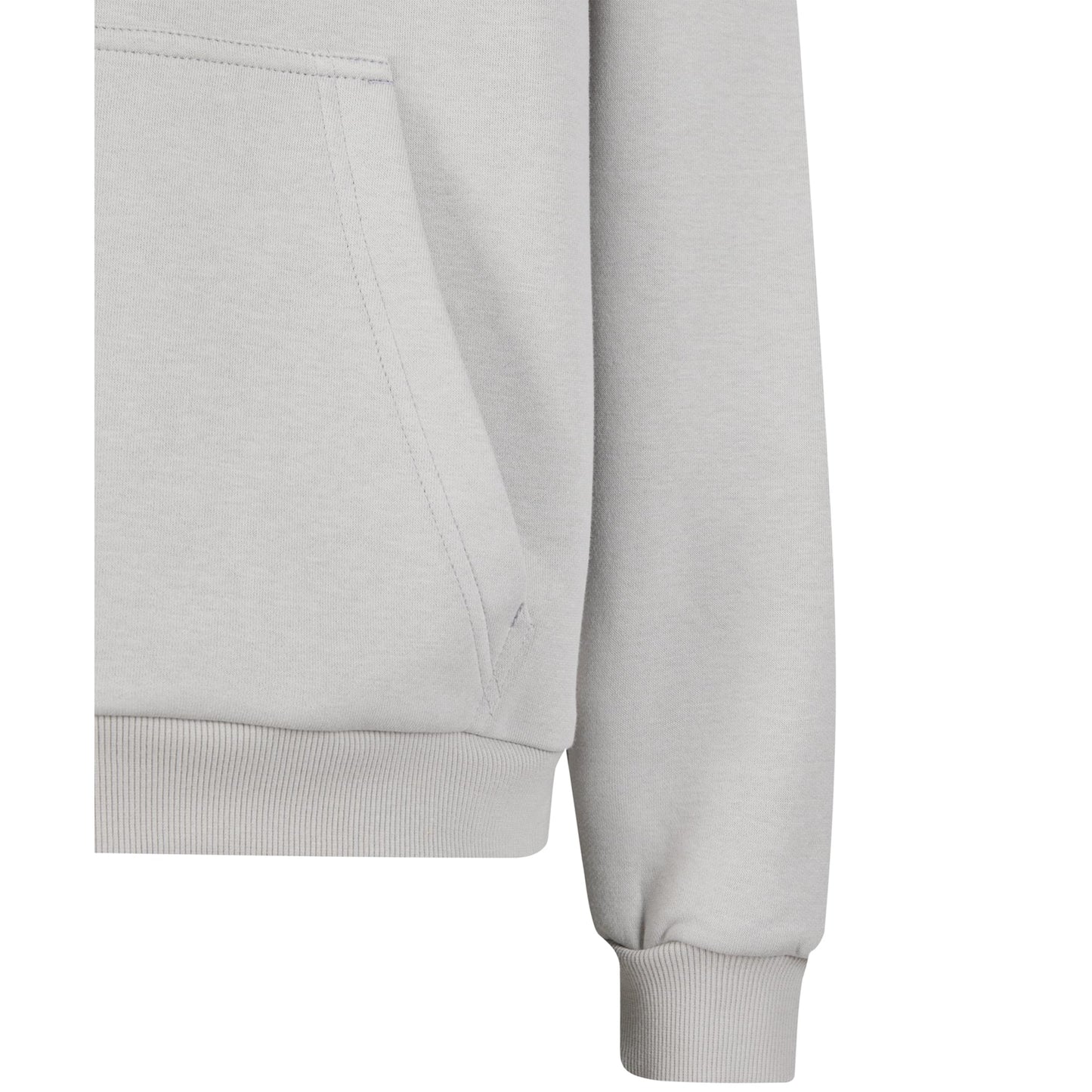 Vegan, Because Someone... - Oversized Hoodie